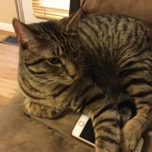 Meet your Posher, Nicole